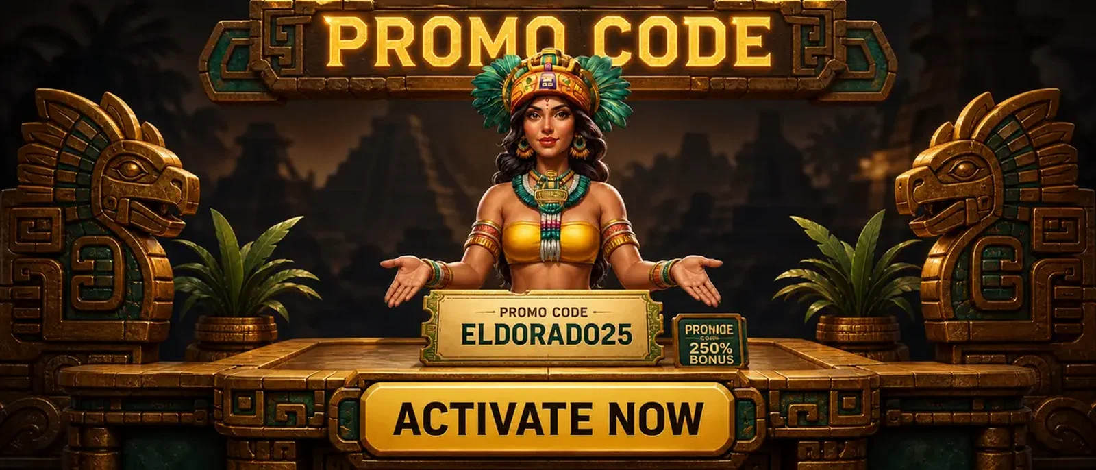 Saisie du Code Promo Rolldorado